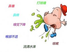 <b>鼻炎发作还是感冒了？</b>